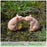 Garden miniatures decoration everyday Collection Resin Struggling pig fairy  & Home Decoration Accessories